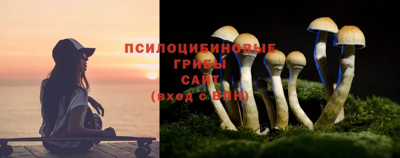 MEGA зеркало  купить   Крымск  Галлюциногенные грибы Magic Shrooms 